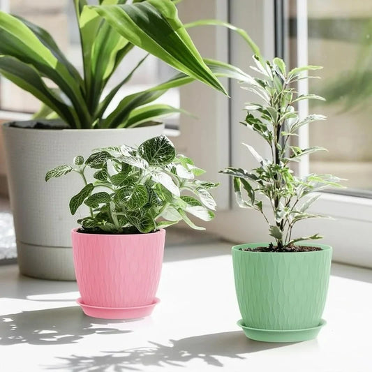 (Pack of 5) 6-Inch Unbreakable Plastic Flower Pots with Drainage & Saucers