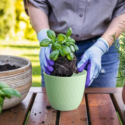(Pack of 5) 6-Inch Unbreakable Plastic Flower Pots with Drainage & Saucers