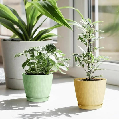 (Pack of 5) 6-Inch Unbreakable Plastic Flower Pots with Drainage & Saucers